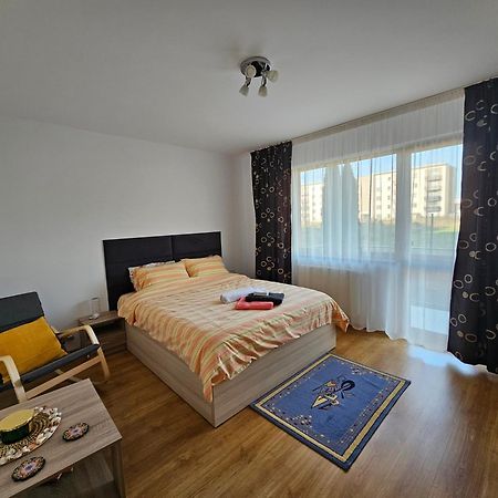 Elena'S Studio Brasov Coresi エクステリア 写真