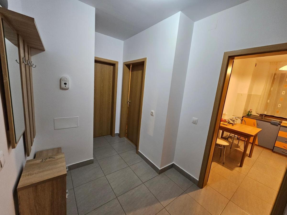 Elena'S Studio Brasov Coresi エクステリア 写真