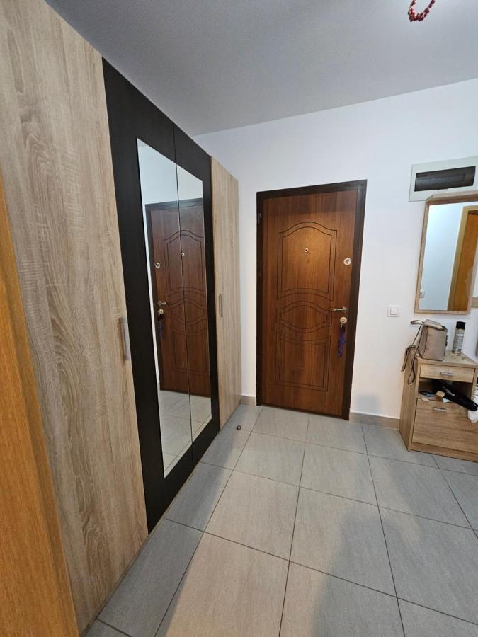 Elena'S Studio Brasov Coresi エクステリア 写真