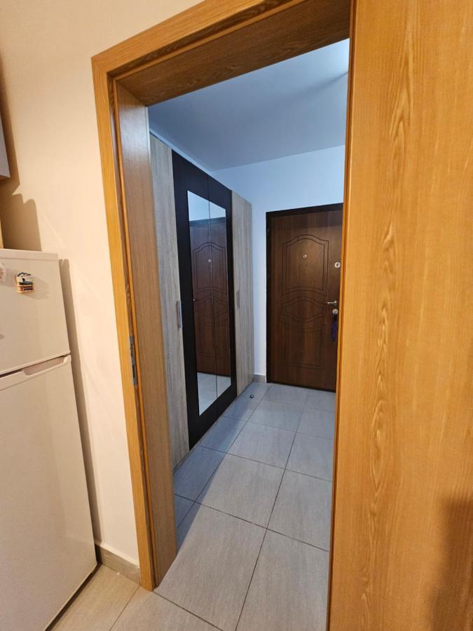 Elena'S Studio Brasov Coresi エクステリア 写真