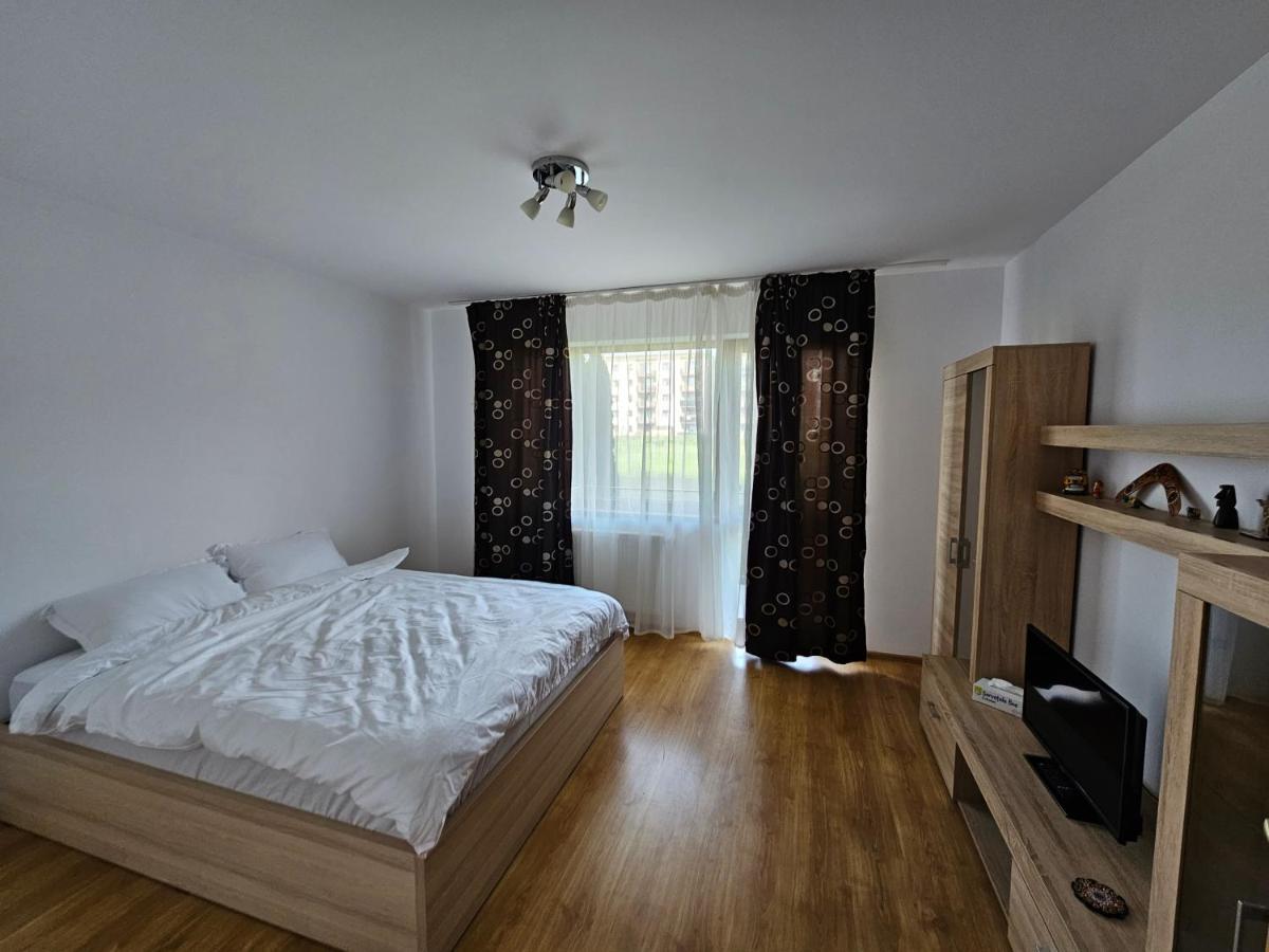 Elena'S Studio Brasov Coresi エクステリア 写真