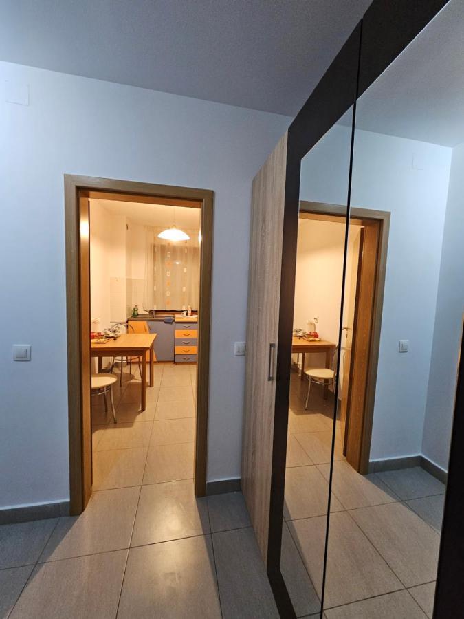 Elena'S Studio Brasov Coresi エクステリア 写真