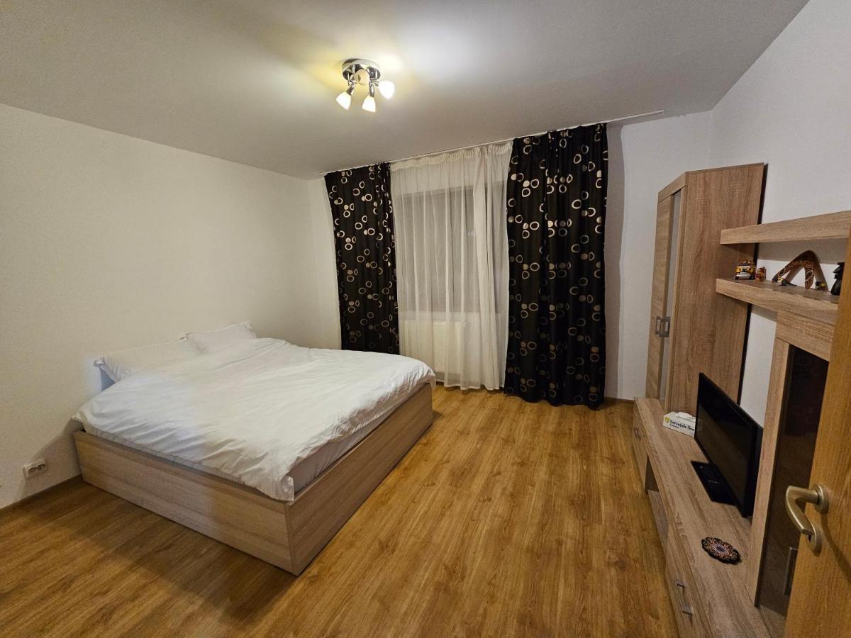 Elena'S Studio Brasov Coresi エクステリア 写真