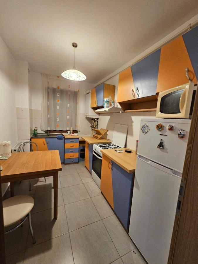 Elena'S Studio Brasov Coresi エクステリア 写真