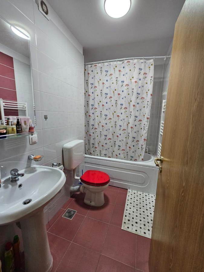 Elena'S Studio Brasov Coresi エクステリア 写真