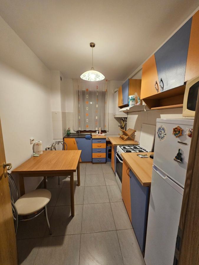 Elena'S Studio Brasov Coresi エクステリア 写真