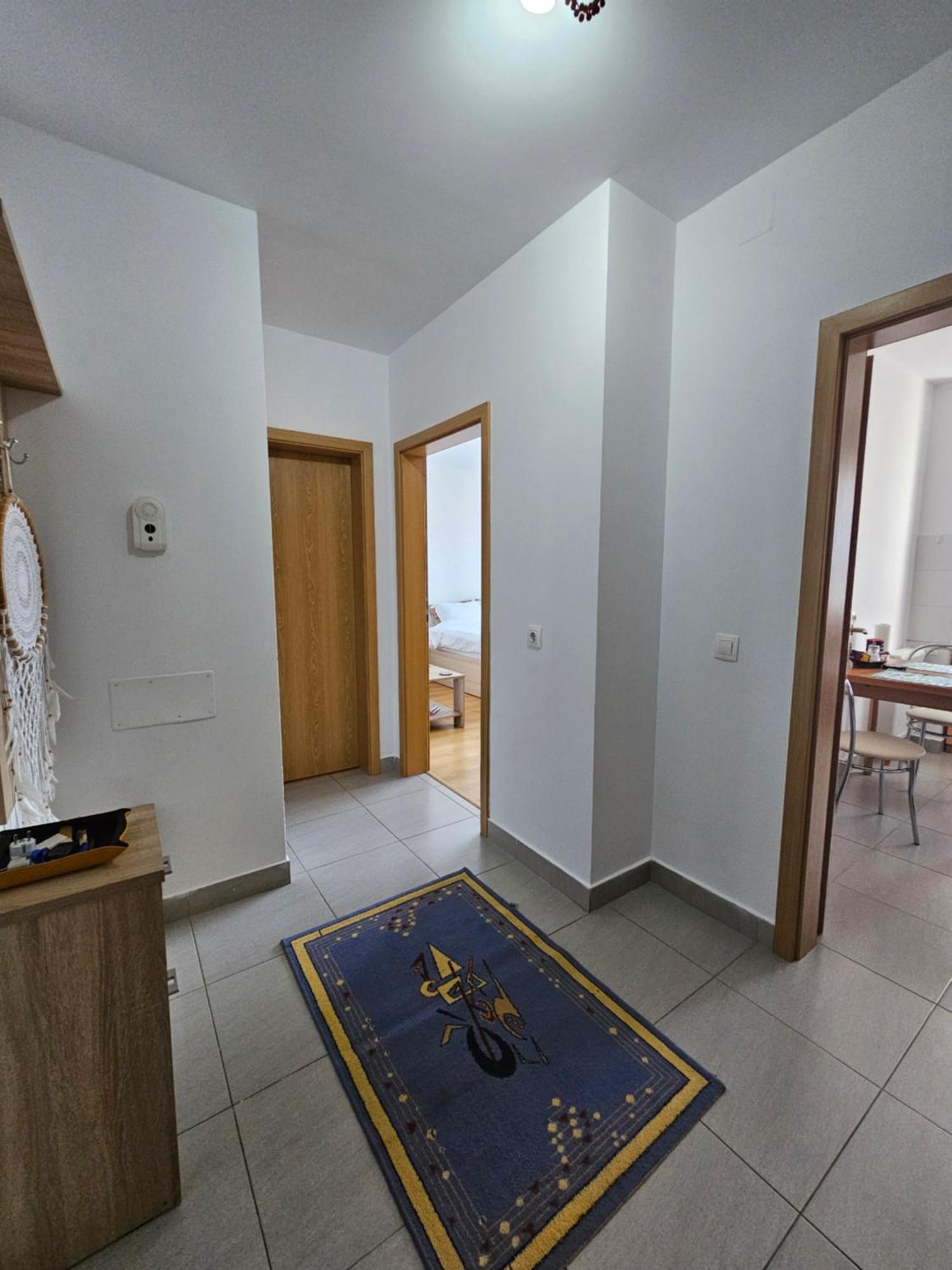 Elena'S Studio Brasov Coresi エクステリア 写真