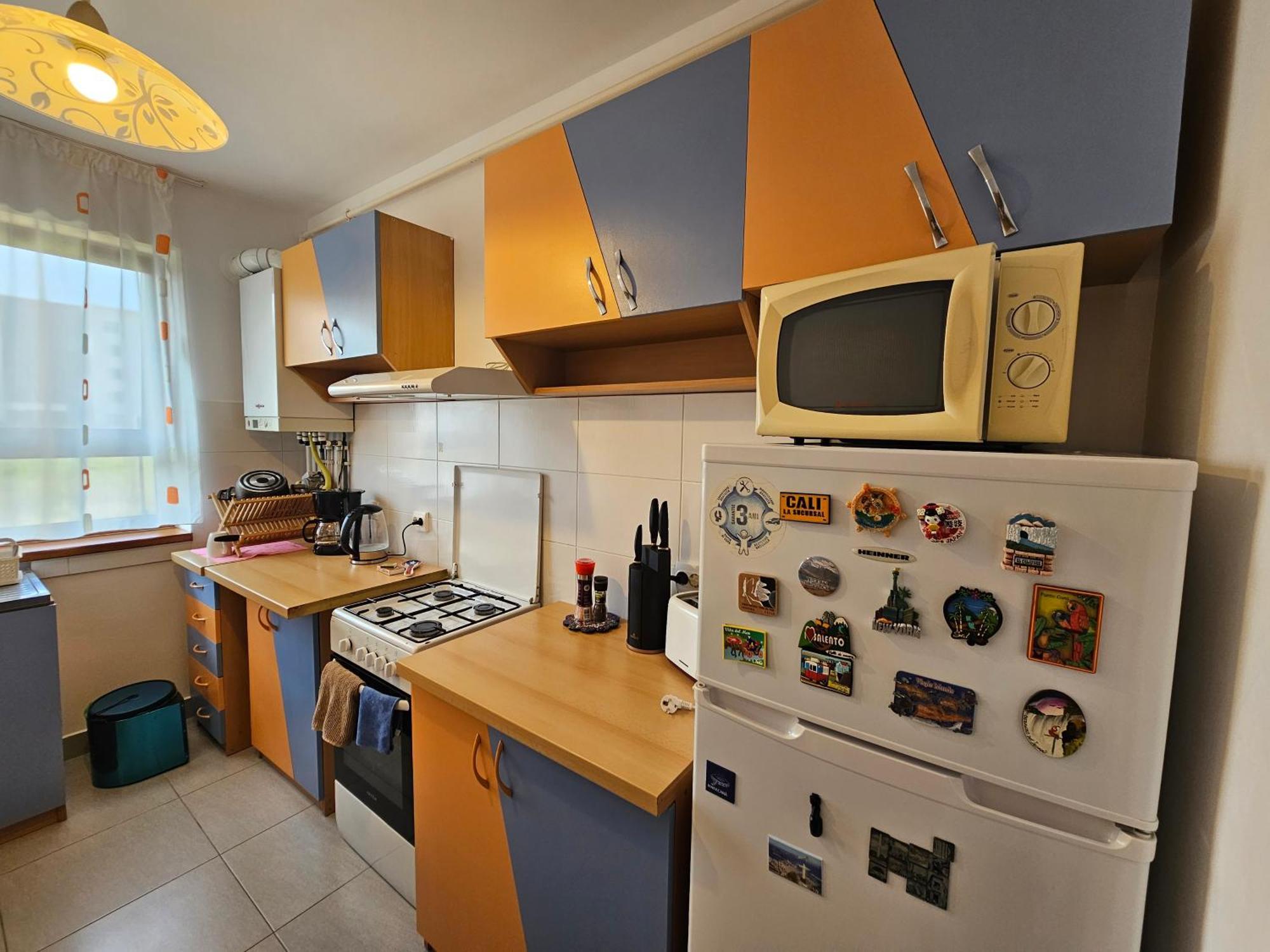 Elena'S Studio Brasov Coresi エクステリア 写真